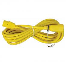 TPI RS09EC - 9' Extention Cord with Power Switch