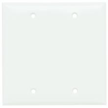 Legrand-Pass & Seymour SP23W - PLATE PLASTIC 2G BLANK W/OUT LINE W