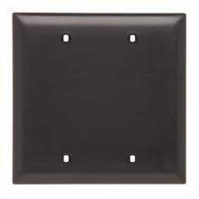 Legrand-Pass & Seymour TP23BK - TRADEMASTER PLT 2G BLANK BOX MOUNT BK