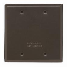 Legrand-Pass & Seymour WPB2BR - WP COVER 2G BLANK W/GASKET BRONZE