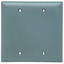 Legrand-Pass & Seymour TP23-GRY - TRADEMASTER PLT 2G BLANK BOX MOUNT GY