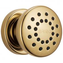 Brizo 84110-PG - Universal Showering Touch-Clean® Round Body Spray