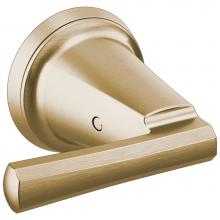 Brizo HL5898-GL - Levoir™ Wall Mount Lavatory Lever Handle Kit