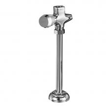 Chicago Faucets 733-665PSHCP - URINAL VALVE