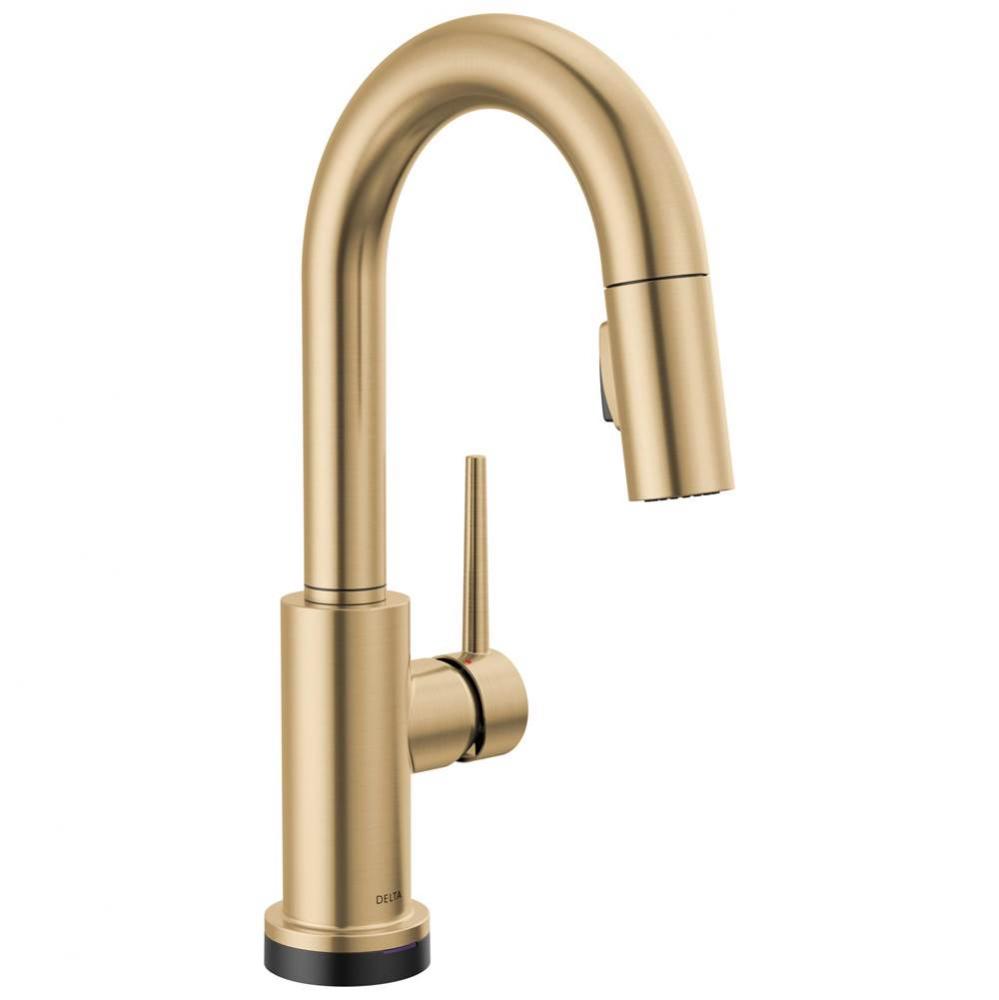 Trinsic&#xae; Touch2O&#xae; Bar / Prep Faucet with Touchless Technology