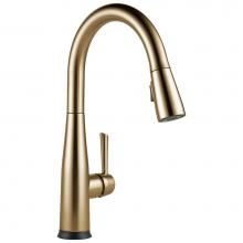 Delta Faucet 9113TV-CZ-DST - Essa® VoiceIQ™ Single Handle Pull-Down Faucet with Touch20® Technology