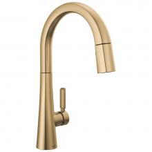 Delta Faucet 9191-CZ-PR-DST - Monrovia™ Single Handle Pull-Down Kitchen Faucet