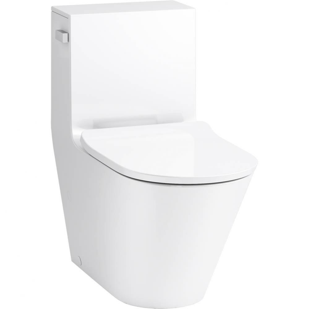 Brazn One-piece Compact Elongated Dual-flush Toilet With Skirted Trapway