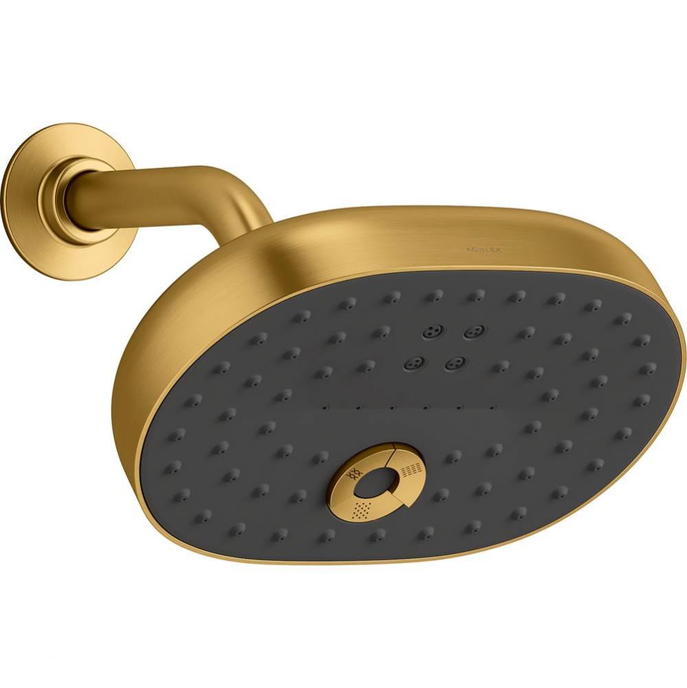 Statement Oval Multifunction 2.5 Gpm Showerhead With Katalyst Air-Induction Technology