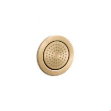 Kohler 8014-BGD - WaterTile® Round Round 54-nozzle body spray with soothing spray
