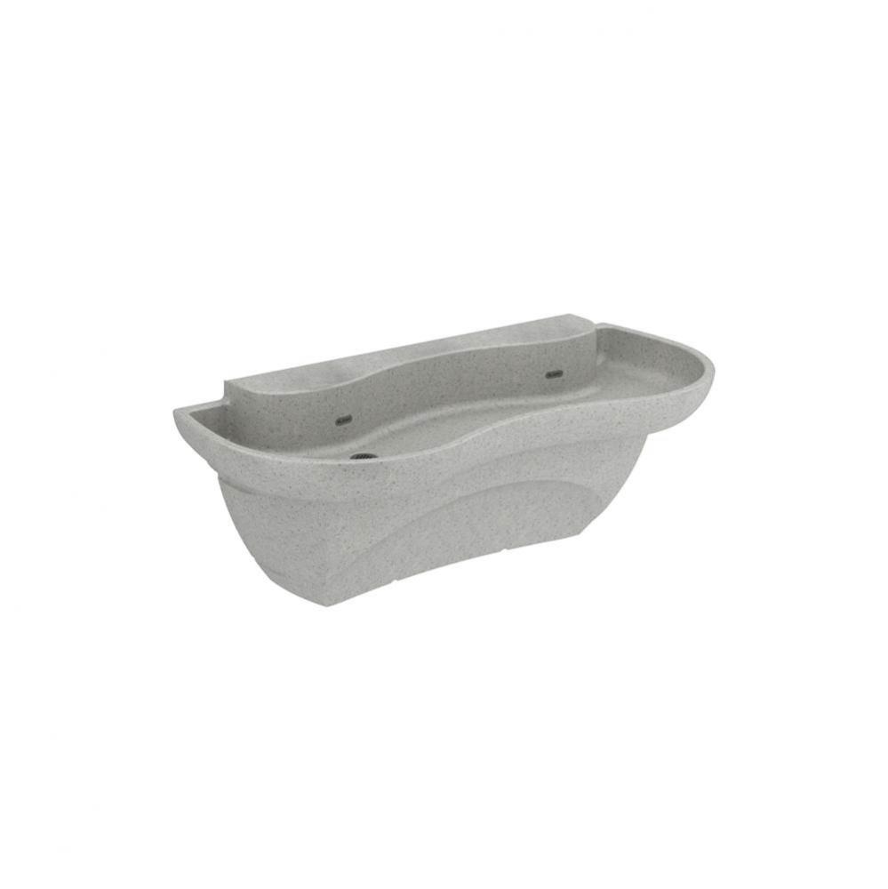 ELS62000-WHITE SINK ASSEMBLY