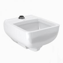 Sloan 3873200 - SS3200 WALL HUNG HEALTHCARE SERVICE SINK
