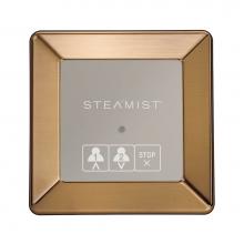 Steamist 220-BB - TSX-220 TS Series On/Off - BB