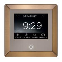 Steamist 450-BB - TSC-450 Total Sense Control - BB