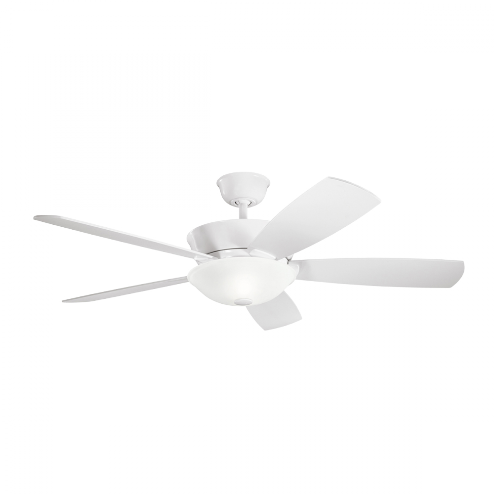 54 Inch Skye Fan