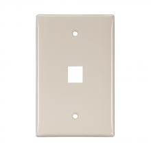 Leviton 41091-1TN - WP 1PORT SG MID LA