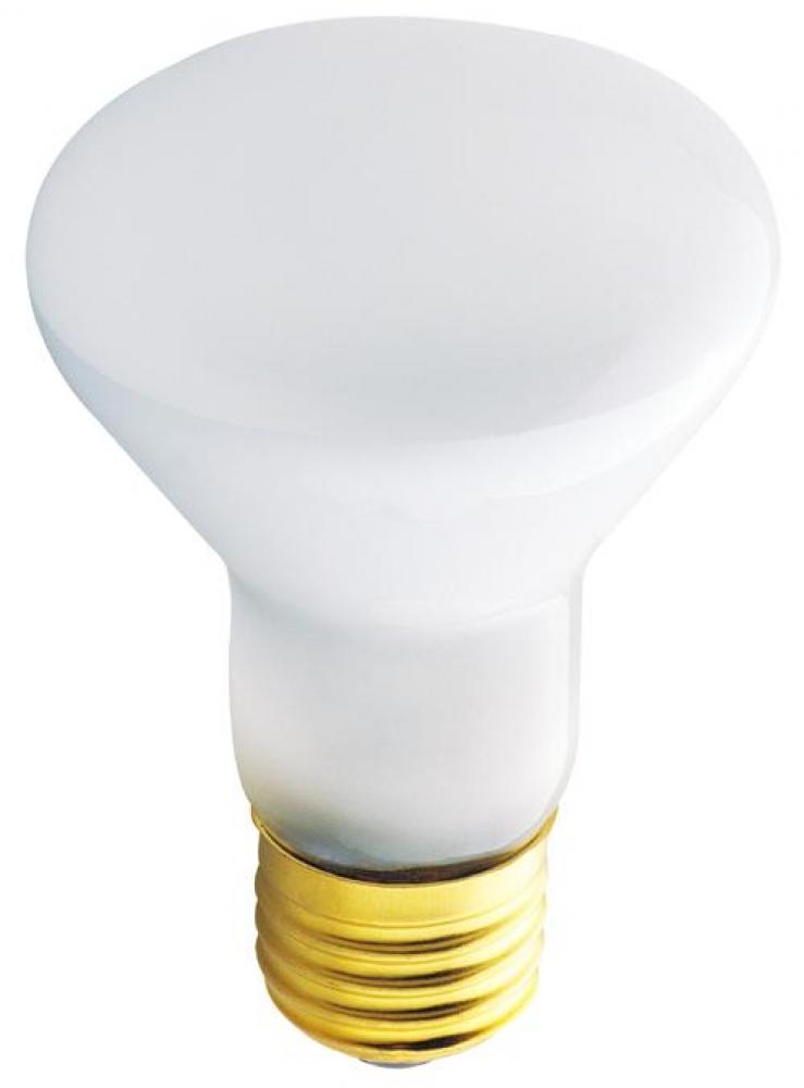 45 Watt R20 Incandescent Spot Light Bulb