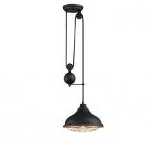 Westinghouse 6124900 - Chaves One-Light Indoor Pulley Pendant