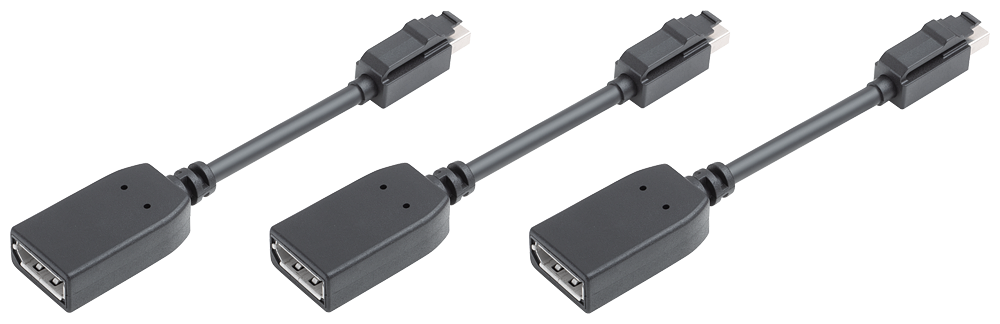 miniDisplayPort-DisplayPort-Adapter(3x)