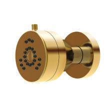 Gerber Plumbing D460258BB - Parma 2 Function Wall Mount Body Spray 1.5gpm Brushed Bronze