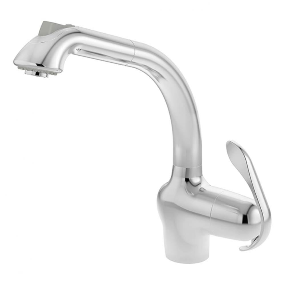 Forza Pull-Out Kitchen Faucet