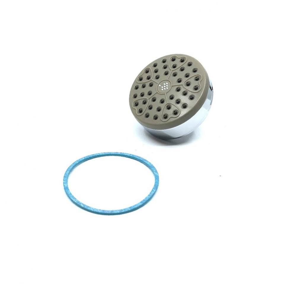 Showerhead and Gasket