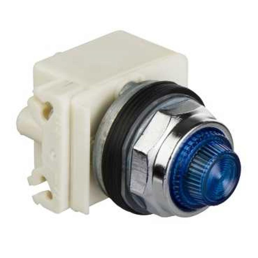 PILOT LIGHT 120V 30MM TYPE K +OPTIONS