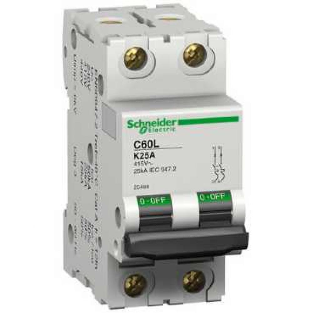 MINIATURE CIRCUIT BREAKER 240/415V 2A