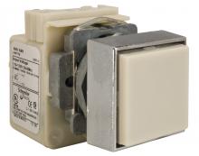 Schneider Electric 9001KXPA1 - SINGLE P/L