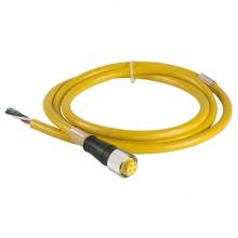 Schneider Electric XZCPY4275L2 - CORDSET PVC FEMALE 7/8 4P STR 6FT