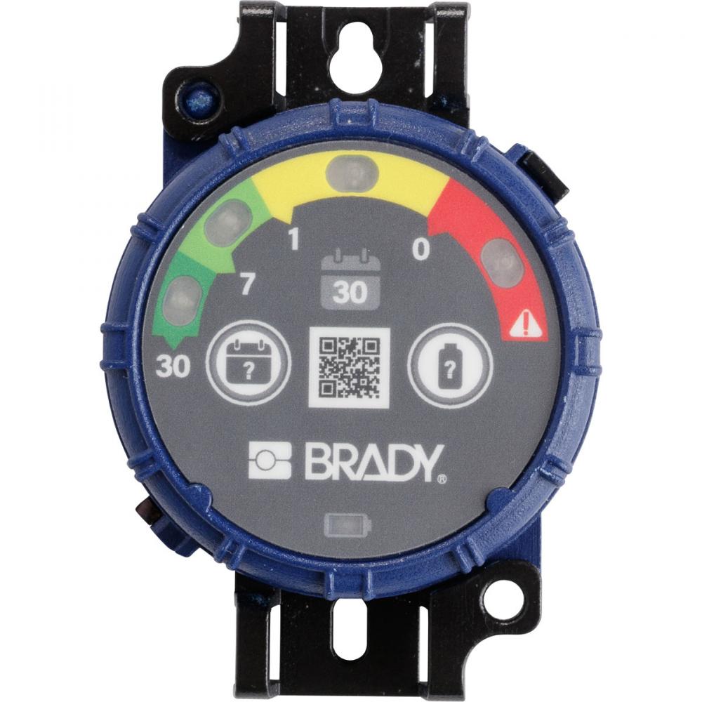 Brady Inspection Timer 30 Day 10 Pk