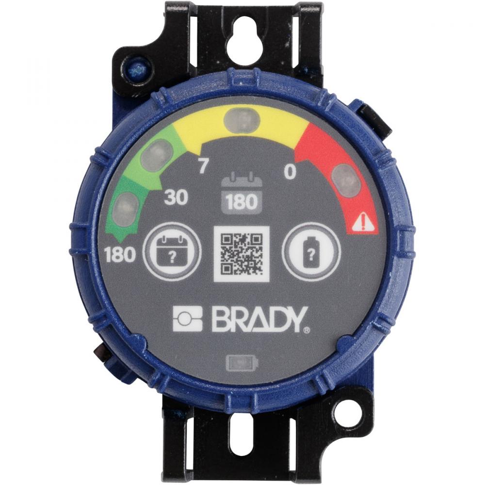 Brady Inspection Timer 180 Day 10 Pk