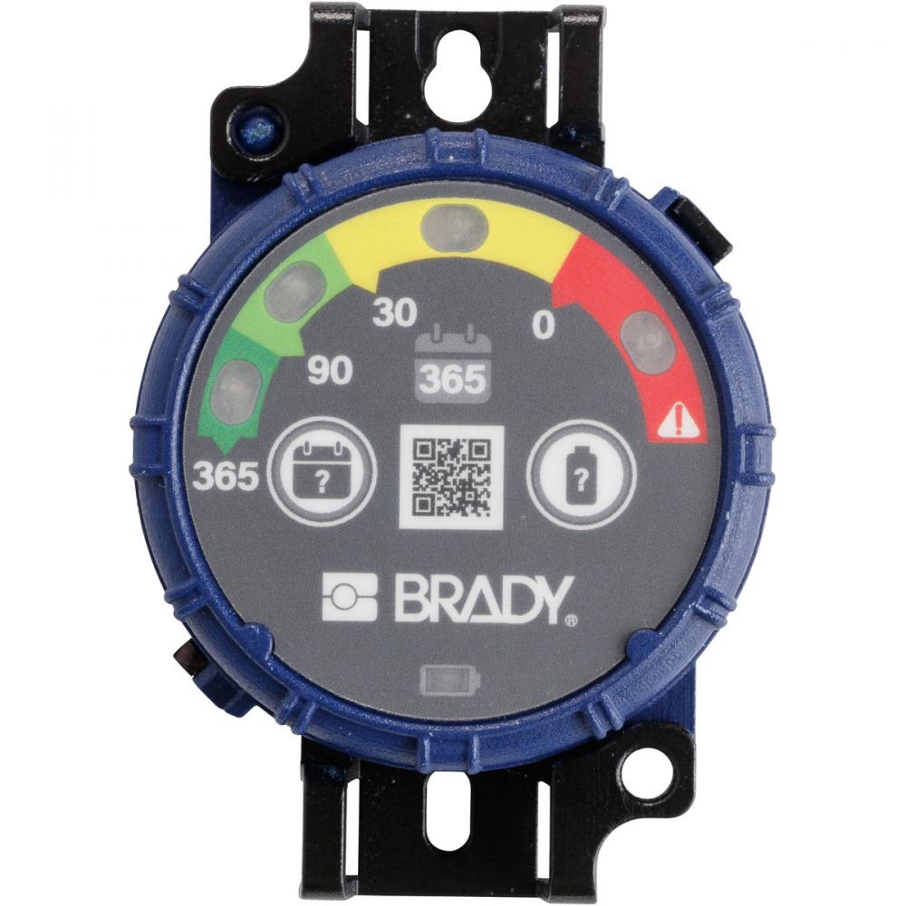 Brady Inspection Timer 365 Day 10 Pk