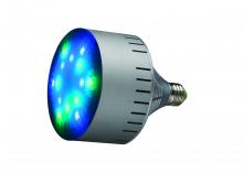 Light Efficient Design LED-8055EC - 30W PAR 38 Color Changing Pool/Spa Lamp