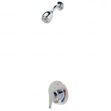 Zurn Industries Z7301-SS-MT - Temp-Gard® III Pressure-Balanced Shower Valve With Wall-Mount Shower Head and NPT Connections