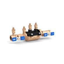 Zurn Industries 1-350LBS - Double Check Valve Assy, Composite Vessel, MBS THD x MBS THD, Less Ball Valves