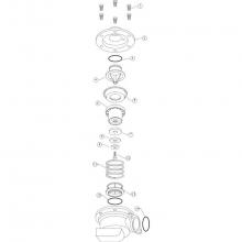 Zurn Industries RK212-375RVCI - REPAIR KIT, 2-1/2'' - 6'' RELIEF VALVE, COMPLETE INTERNALS