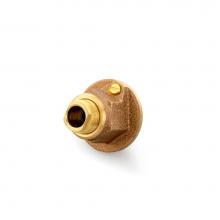 Zurn Industries RK7000-200 - Temp-Gard® I Shower Valve Cap/Bonnet Nut with Adjusting Screw, Brass