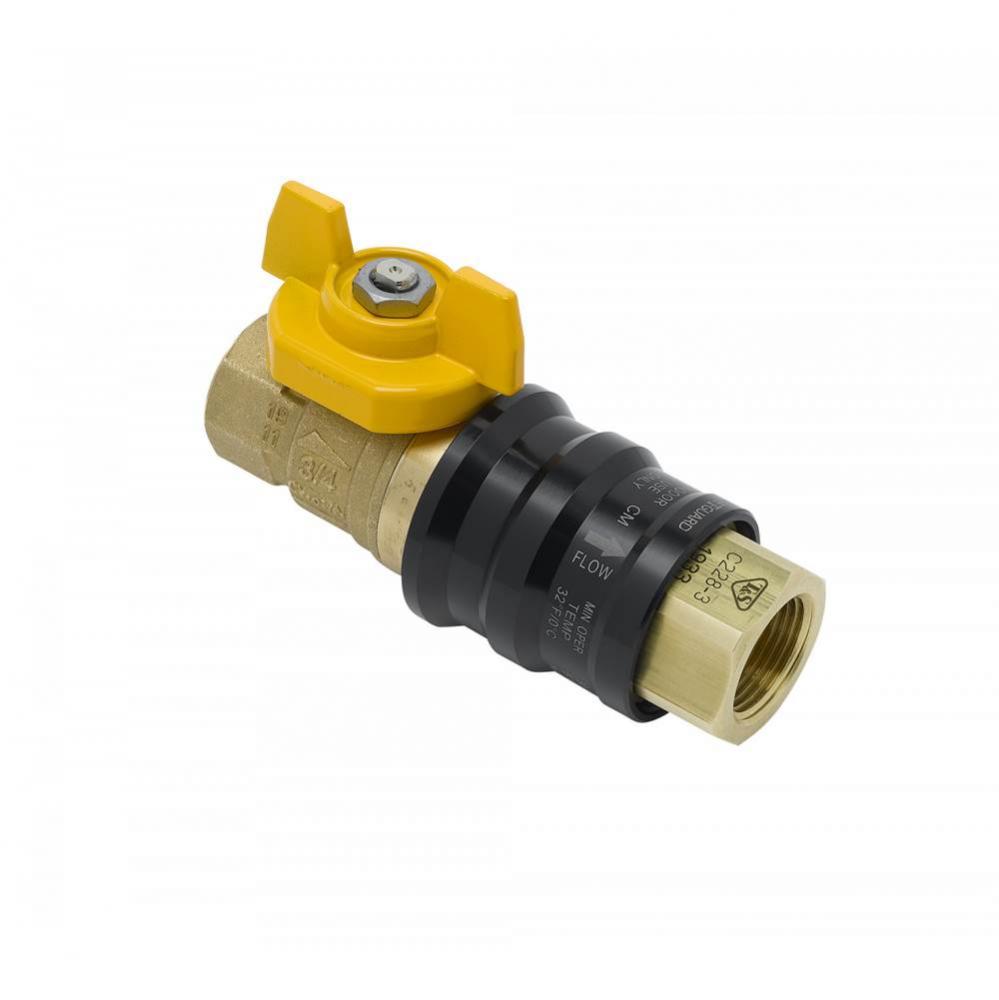 1/2&apos;&apos; NPT QD Valve Combination Device (Safe-T-Guard QDV)