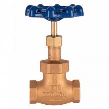 T&S Brass 006648-20B - 3/4'' Globe Valve, Blue Handle