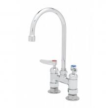 T&S Brass B-0325-CC-CR - 4'' c/c Double Pantry Faucet, Ceramas, Swivel Gooseneck, Lever Handles & 00CC Inlets