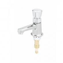 T&S Brass B-0712-AM - Sill Faucet, Self-Closing Metering, Push-Button w/ Anti-Microbial Coating,