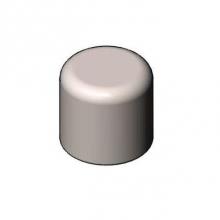T&S Brass S000753-30 - Stainless Steel Push Button