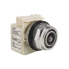 Schneider Electric Square D 9001KP1 - HEAD LT PLT 30MM STD 110/120VAC INCAND