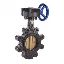 Legend Valve 116-668 - 10'' T-367AB-G Ductile Iron Lug Type Butterfly Valve, Aluminum Bronze Disc, Gear Operate