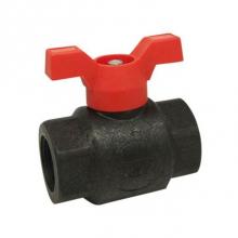 Red-White Valve 670779571058 - POLY BALL VALVE THD END