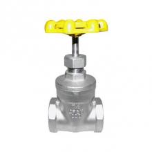 Red-White Valve 670779882055 - GATE STAINLESS STEEL IPS