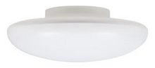 LEDVANCE LLC LED2500CL827RP/75123 - LED2500CL827RP 2/CS 1/SKU