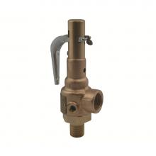 Apollo Valves 19KGGA70 - Vlv,Rel,1-1/2G1-1/2,19K,Pfa