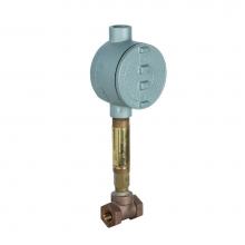 Bradley S19-319B2 - Flow Switch, 1/2'' NPT Brass, DPDT, for Eye and Eye/Wash Units